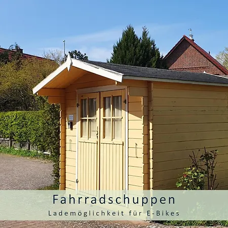 Herzmuschel * Zingst