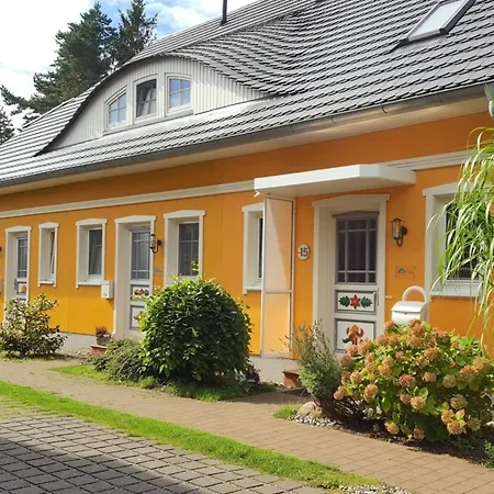 Herzmuschel * Zingst