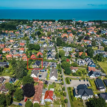 Herzmuschel * Zingst